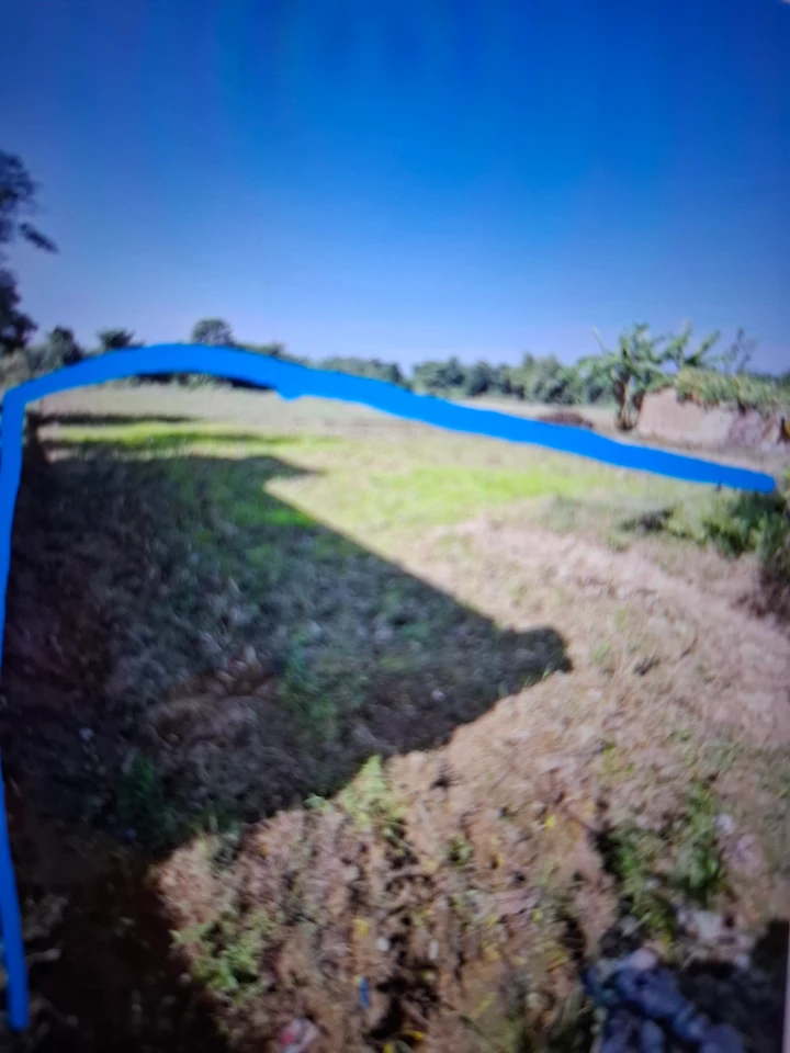 Land for Sale in Siyari Rupandehi