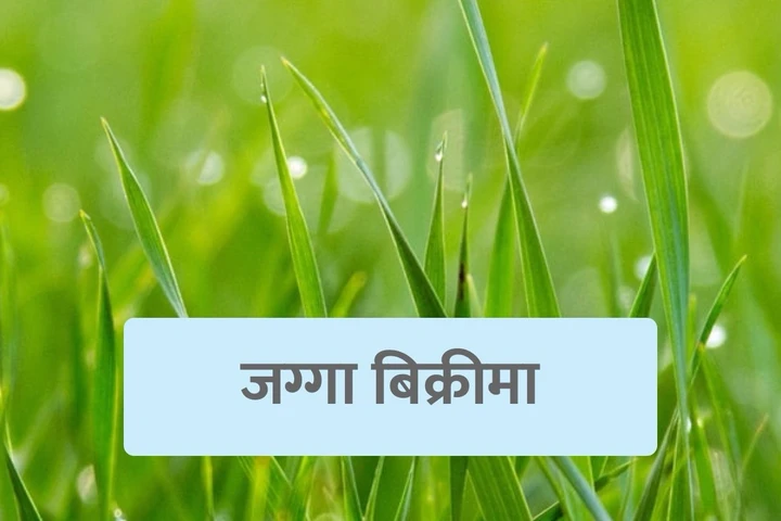 Land for Sale in Chandragiri Kathmandu
