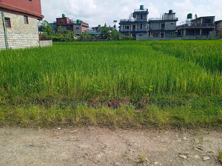 Land for Sale in Pokhara Kaski