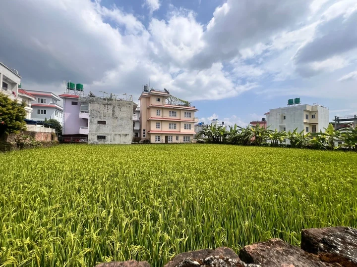 Pasikot Land For Sale