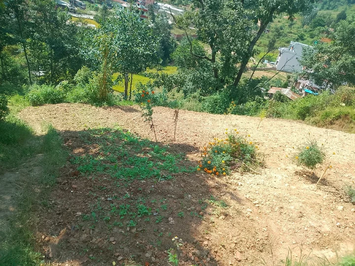 Land for Sale in Nagarjun Kathmandu